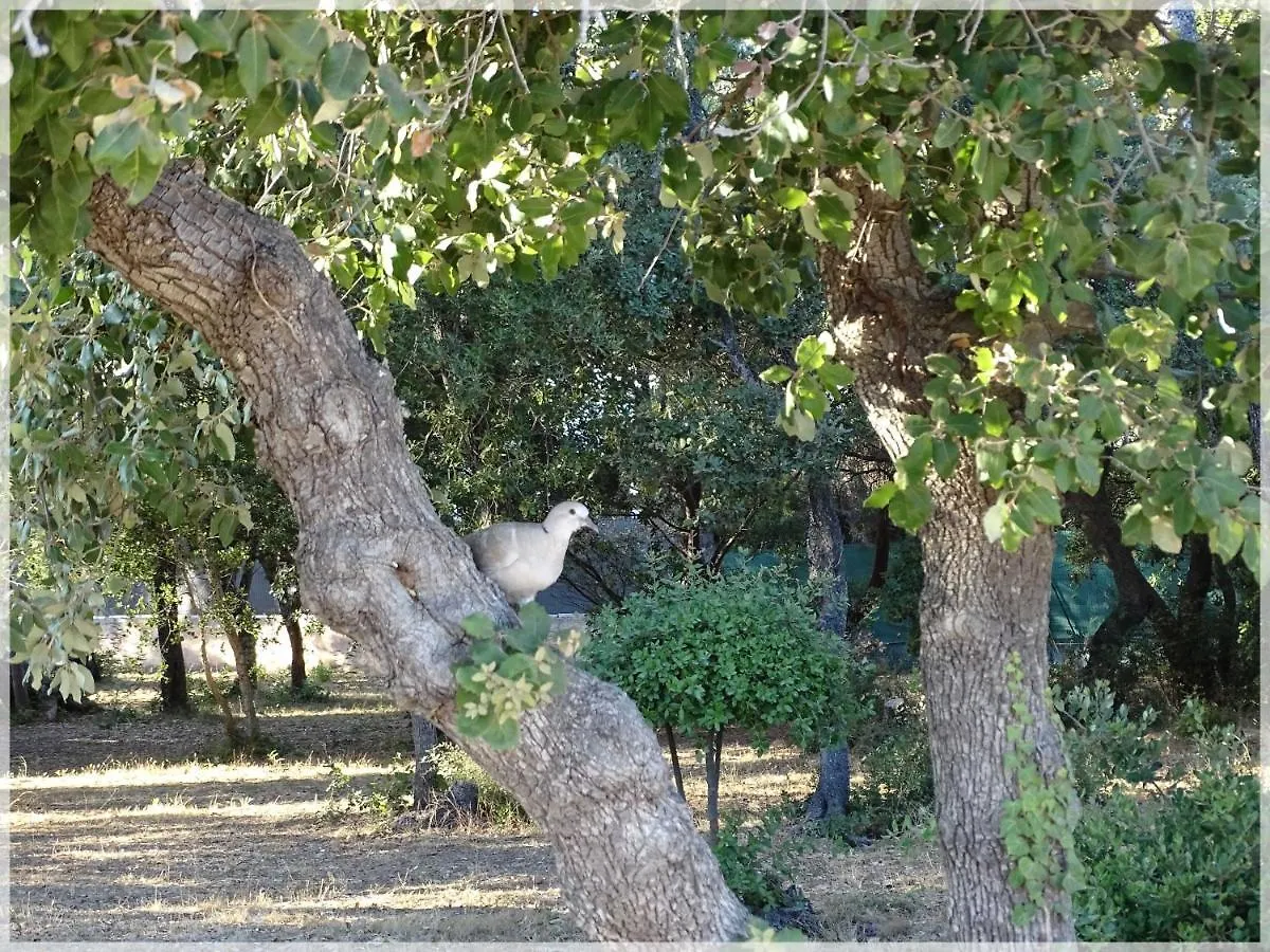 סנט-אגף Appartement Lou Gabian St Aygulf דירה